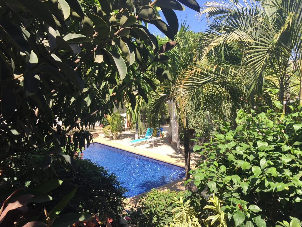 Hotel Flores (Adults Only) Tamarindo Buitenkant foto