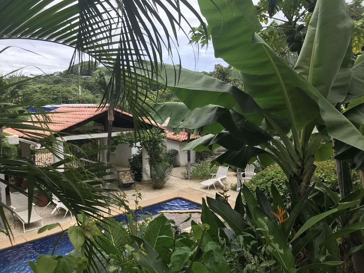Hotel Flores (Adults Only) Tamarindo Buitenkant foto